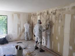 Environmental Consulting for Mold Prevention in Ridgebury, CT